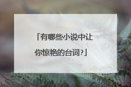 有哪些小说中让你惊艳的台词?