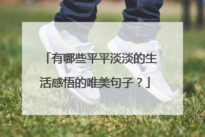 有哪些平平淡淡的生活感悟的唯美句子?