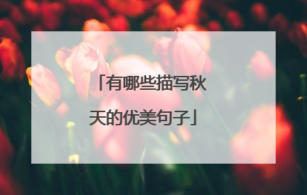 有哪些描写秋天的优美句子