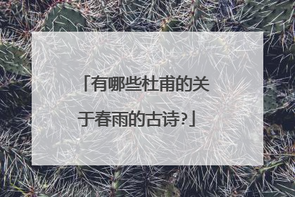 有哪些杜甫的关于春雨的古诗?