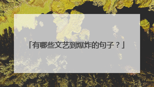 有哪些文艺到爆炸的句子?