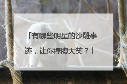 有哪些明星的沙雕事迹,让你捧腹大笑?