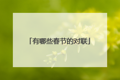 有哪些春节的对联