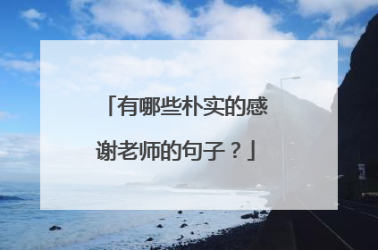 有哪些朴实的感谢老师的句子？