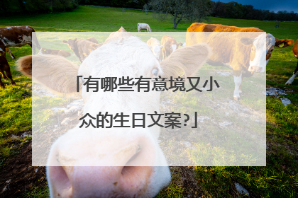 有哪些有意境又小众的生日文案?