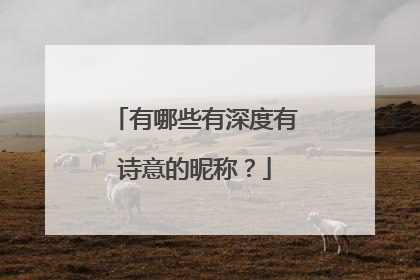 有哪些有深度有诗意的昵称?