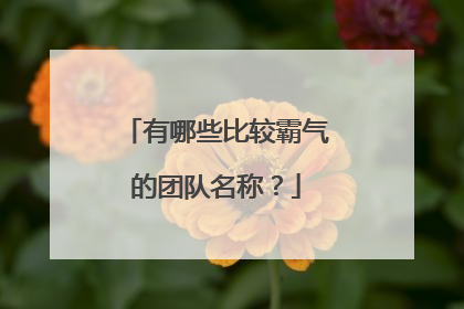 有哪些比较霸气的团队名称?