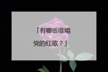 有哪些歌唱党的红歌?