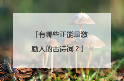 有哪些正能量激励人的古诗词？