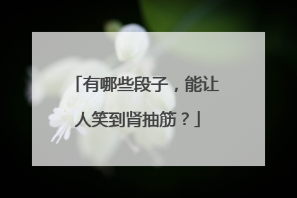 有哪些段子，能让人笑到肾抽筋？