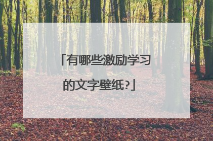 有哪些激励学习的文字壁纸?