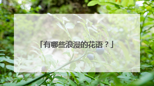 有哪些浪漫的花语?