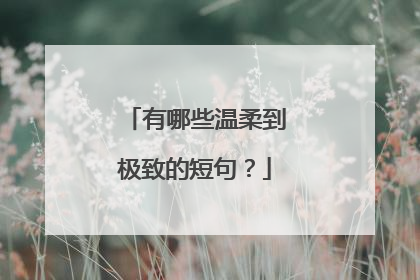 有哪些温柔到极致的短句？