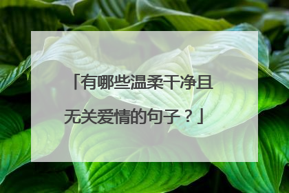 有哪些温柔干净且无关爱情的句子？