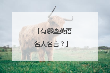 有哪些英语名人名言?