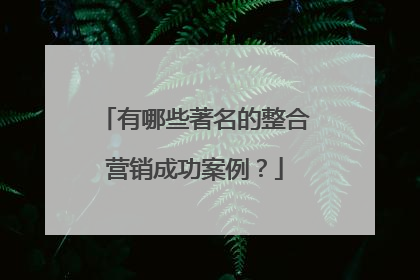 有哪些著名的整合营销成功案例?