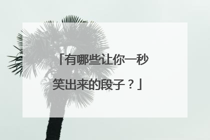 有哪些让你一秒笑出来的段子？