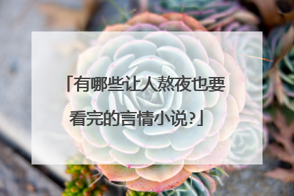 有哪些让人熬夜也要看完的言情小说?