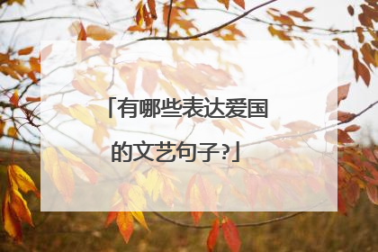 有哪些表达爱国的文艺句子?