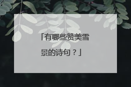 有哪些赞美雪景的诗句？