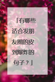 有哪些适合发朋友圈的皮到爆炸的句子？