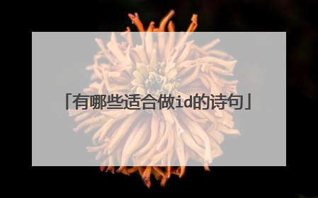 有哪些适合做id的诗句