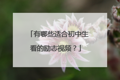有哪些适合初中生看的励志视频？