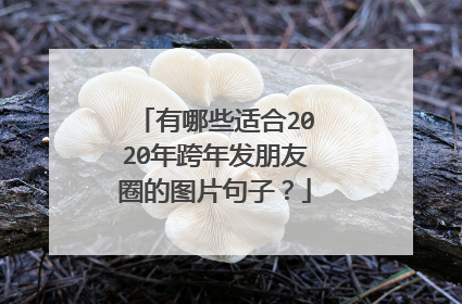 有哪些适合2020年跨年发朋友圈的图片句子?
