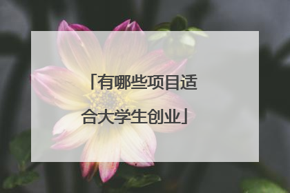有哪些项目适合大学生创业
