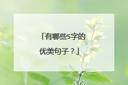 有哪些5字的优美句子？
