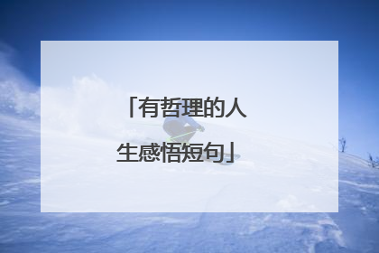 有哲理的人生感悟短句