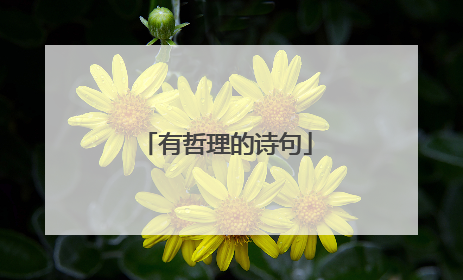 有哲理的诗句