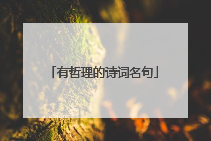 有哲理的诗词名句
