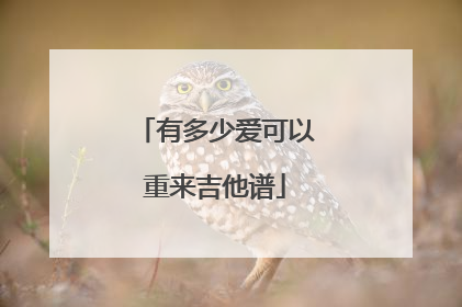 有多少爱可以重来吉他谱