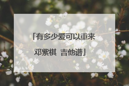 有多少爱可以重来邓紫棋 吉他谱