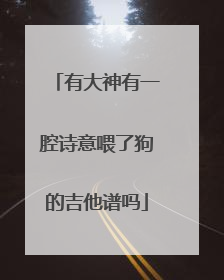 有大神有一腔诗意喂了狗的吉他谱吗
