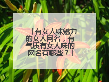 有女人味魅力的女人网名,有气质有女人味的网名有哪些?