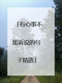 有心事不能诉说的句子精选