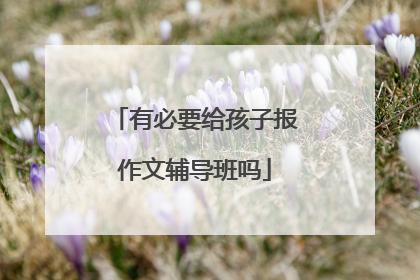 有必要给孩子报作文辅导班吗