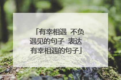 有幸相遇 不负遇见的句子 表达有幸相遇的句子