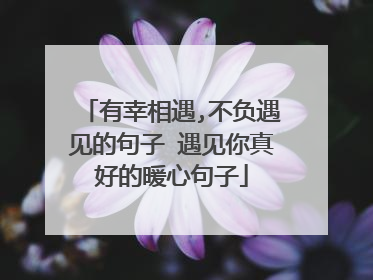 有幸相遇,不负遇见的句子 遇见你真好的暖心句子