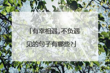 有幸相遇,不负遇见的句子有哪些?