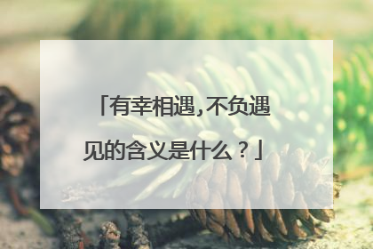 有幸相遇,不负遇见的含义是什么?