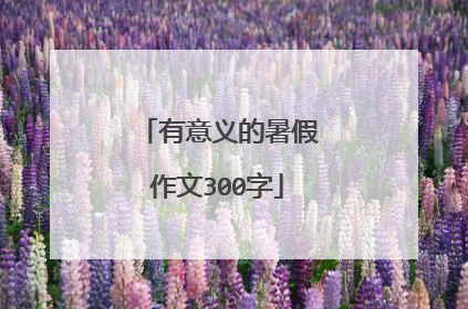 有意义的暑假作文300字