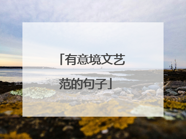 有意境文艺范的句子