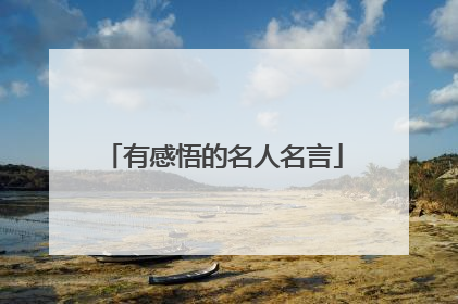 有感悟的名人名言