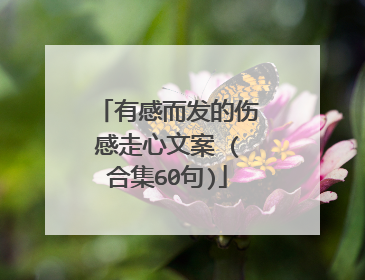 有感而发的伤感走心文案 (合集60句)