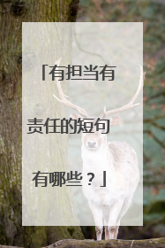 有担当有责任的短句有哪些？