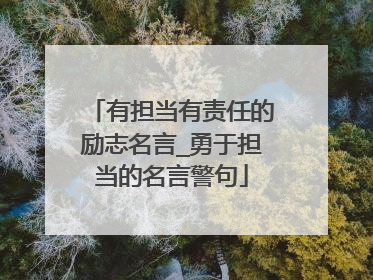 有担当有责任的励志名言_勇于担当的名言警句