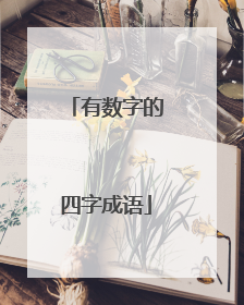 有数字的四字成语